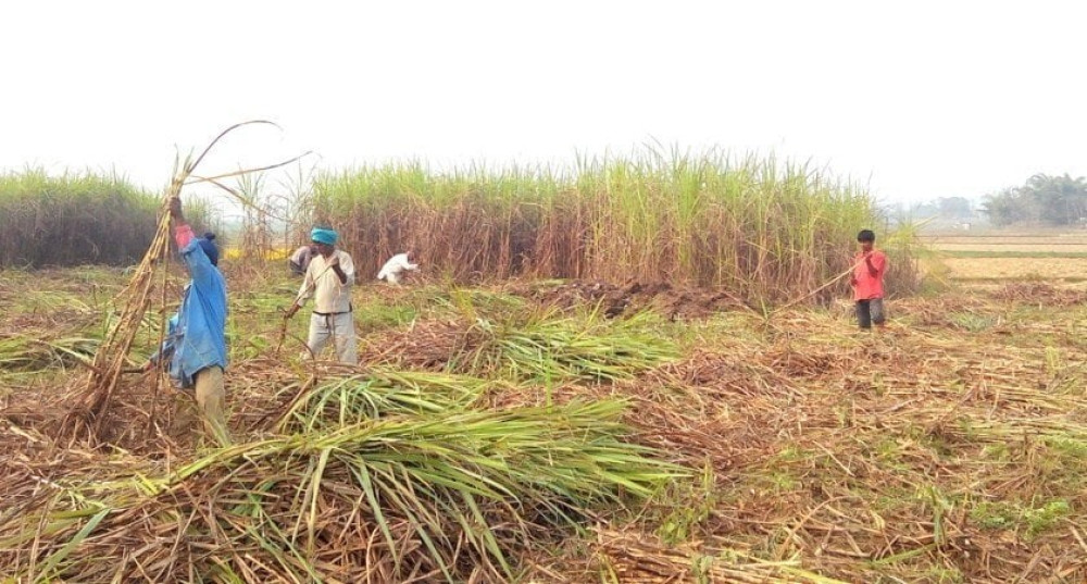 Sajilo Khoj