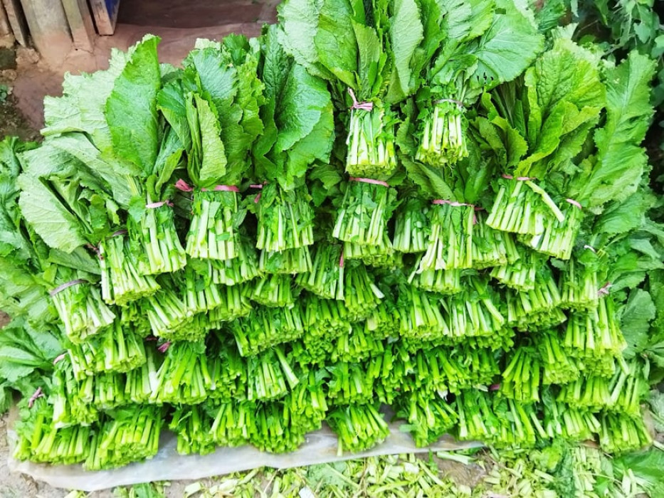Sajilo Khoj