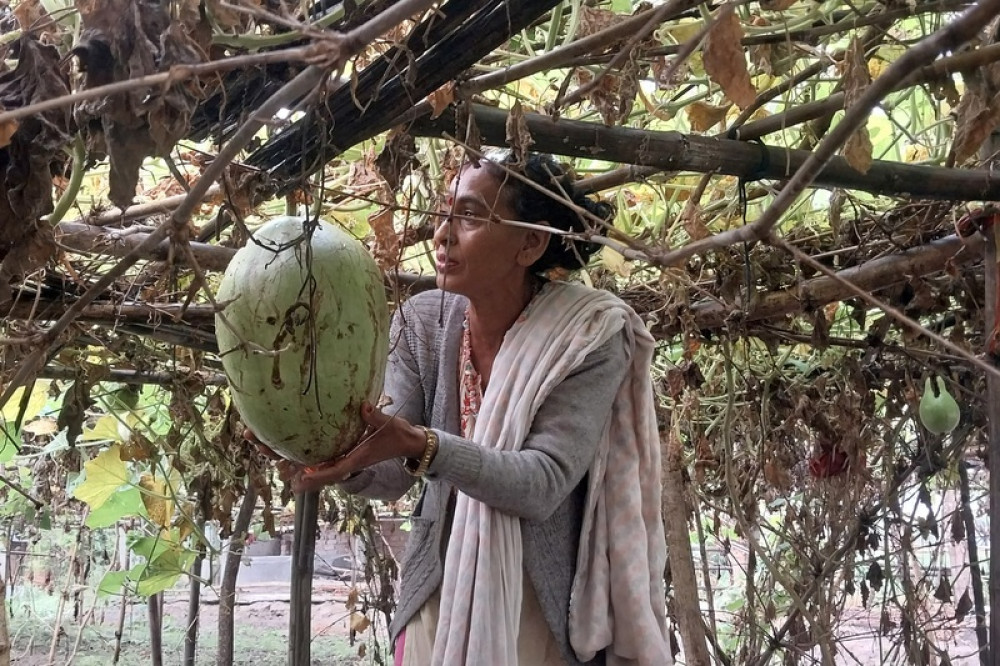 Sajilo Khoj