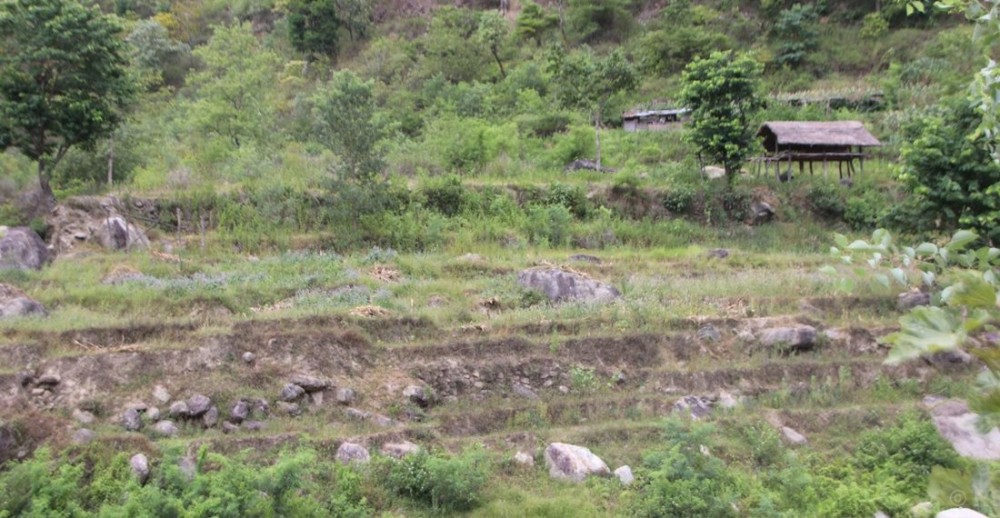 Sajilo Khoj