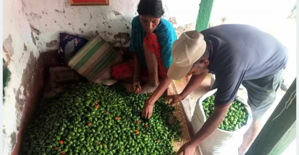 Sajilo Khoj