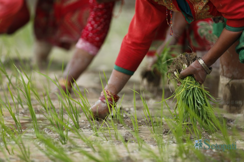 Sajilo Khoj